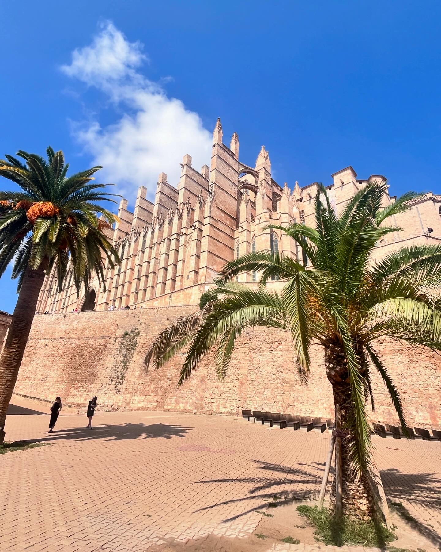 Palma de Majorque